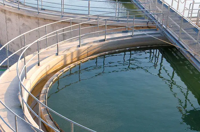 Tonka Water Clarification