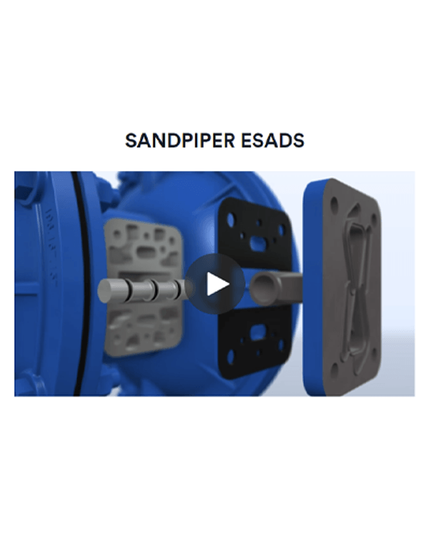 SANDPIPER ESADS - Video
