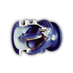 Check Valve