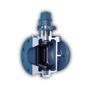 Plug Valve