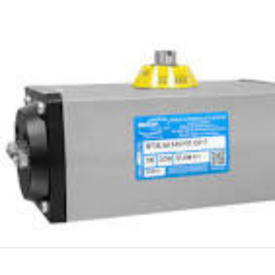 Pneumatic Actuator