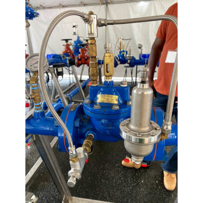 Singer Valves